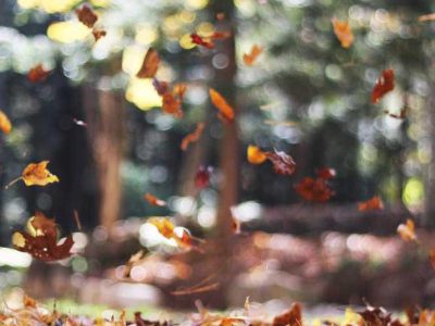 Magyarország helye az EU-ban